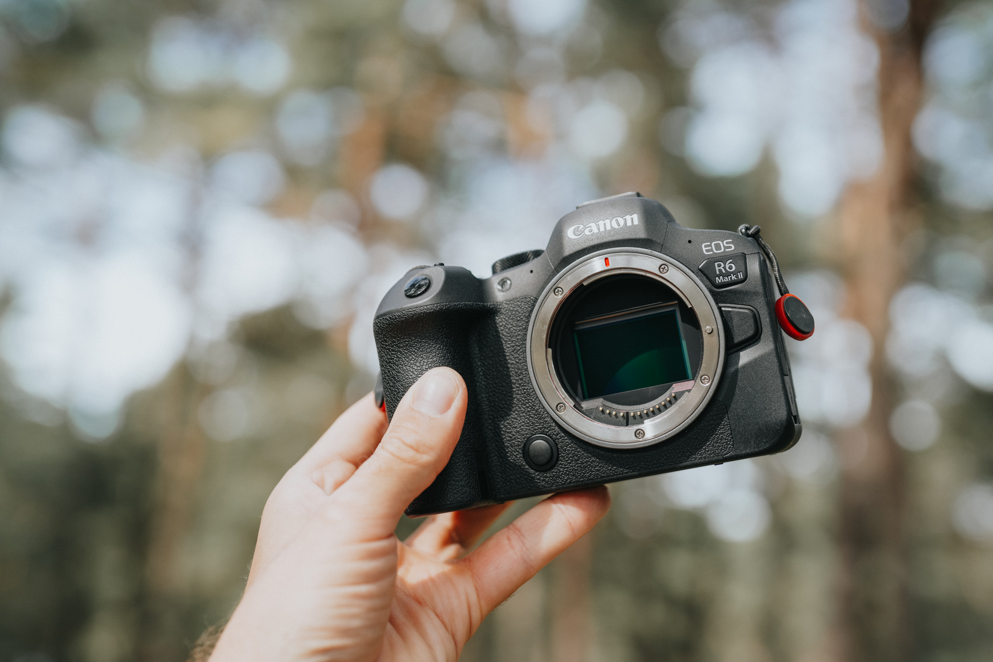 Canon EOS R6 Mark II